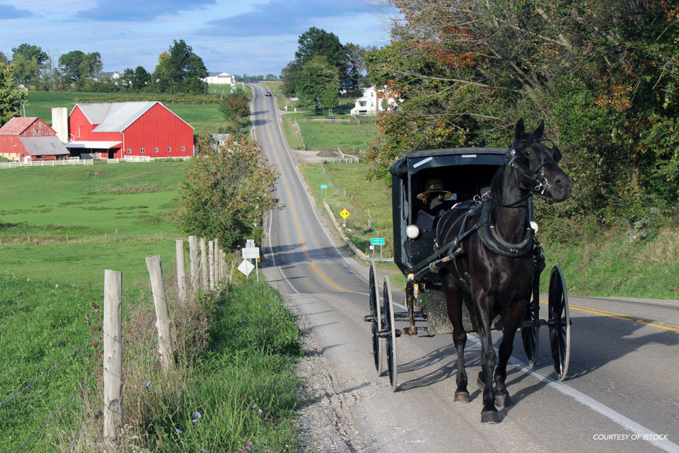 Ohio Amish Country | Travel | Ohio Magazine